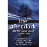 The After Dark AB/DL Short Story Collection: An Adult Baby Book