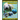 Manatees: Photos and Fun Facts for Kids