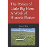 The Ponies of Little Big Horn, A Work of Historic Fiction