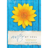 Water My Soul: Ninety Meditations from an Old Order Mennonite