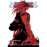 Bleach, Vol. 73: Battlefield Burning