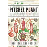 Pitcher Plant