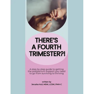 There's a Fourth Trimester?!: A step by step guide to getting the postpartum support you need to go from surviving to thriving