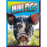 Mini Pigs