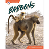 Baboons