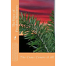 The Voice of Freedom Ministries: Our Years of Evangelistic Ministry