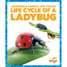 Life Cycle of a Ladybug