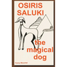 Osiris Saluki, the magical dog