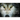 The Hidden Life of Wolves