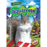Squirrels