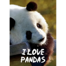 I Love Pandas Notebook