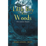 The Little Boy Who Ran into the Woods: The Journey Begins