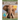 Elephant: Fascinating Animal Facts for Kids