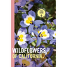 Wildflowers of California