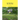 Little Big House: Why, How, Who