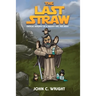 The Last Straw: A Critical Autopsy of a galaxy far, far away