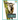 Lemur