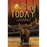 One Carmine Sun Glows for Today: Tale 2 of Series 'Begin an End for a World?'