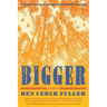 Bigger: Essays