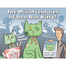 The Misadventures of Boo Boo Kitty!