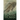 Fossil Woman