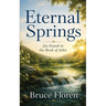Eternal Springs: Joy Found in the Book of John