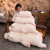 Pat the Piggy Plush (4 VARIANTS, 4 SIZES) by Subtle Asian Treats