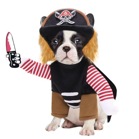 Authentic Pirate Costume for Dogs by Dach Everywhere - Vysn