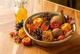 Pumpkin Patch Potpourri by Andaluca Home