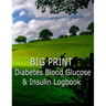 Big Print Diabetes Blood Sugar and Insulin Log