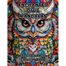 Enchanted Owl Mandalas: Intricate Adult Coloring Book