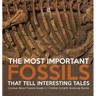 The Most Important Fossils That Tell Interesting Tales Curious About Fossils Grade 5 Children's Earth Sciences Books