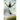 Holy shroud of Turin through the eyes of a Dove: Ancestral Echo, Elemental Flame, Eternal Call