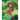 The Secret World of Arrietty Picture Book