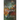 Search Begins