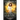 Boundless Magic