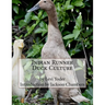 Indian Runner Duck Culture