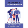 The Little Book Of Fostering and Adoption: A Real-Life Memoir Of An Experienced Father: How To Prepare For Your First Foster Child