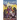 The Cosmic Crusaders: The Golden Amazon Saga, Book Eight