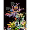 Christine and Margaret Wertheim: Value and Transformation of Corals