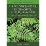 Ferns, Spikemosses, Clubmosses, and Quillworts of Eastern North America