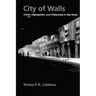 City of Walls: Crime, Segregation, and Citizenship in São Paulo