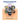 Pharmaceutical Biotechnology Fundamentals and Application