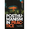 Posthumanism in Practice