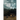 Fading Shadows