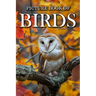 Birds: Picture Books For Adults With Dementia And Alzheimers Patients - Colourful Photos Of Birds With Their Names