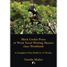 Black Cockie Press 12 Week Novel Writing Masterclass Workbook