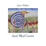 Snail Mail Cursive