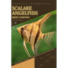 Scalare Angelfish: From Novice to Expert. Comprehensive Aquarium Fish Guide