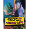 Groupers and Moray Eels Team Up!